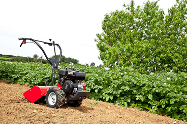 Terre - Motoculteurs - Motoculteur fraise arrière ROTO 404 HD EG