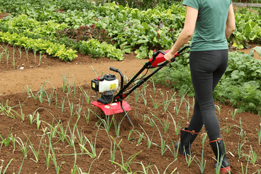 Terre - Microbineuse - Microbineuse MB 35 P