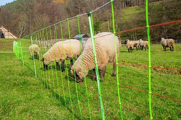 Elevage - Accessoires tubulaires - Filet électrifié combiné Tornado XL,  1,06 m hors sol, double pointe, 50 m