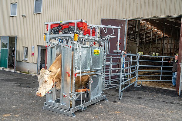 Elevage - Accessoires tubulaires - Cage de parage Pro électrique