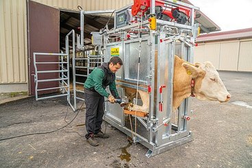 Elevage - Accessoires tubulaires - Cage de parage Pro électrique
