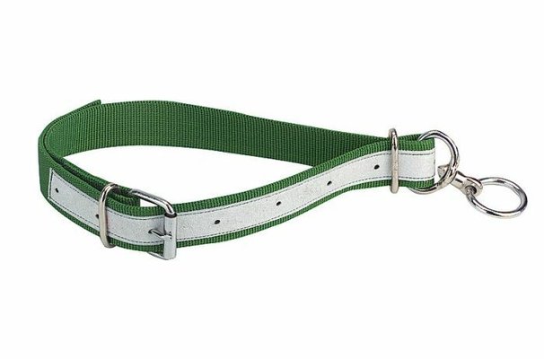 Elevage - Matériel - Collier pour veau en nylon avec touret vert