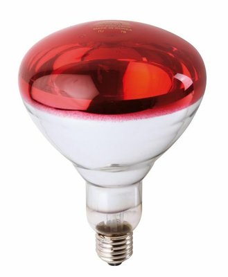 Elevage - Matériel - Ampoule PHILIPS IR à vis rouge 150 w