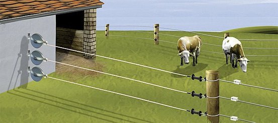 Elevage - Accessoires tubulaires - Enrouleur de rappel Pro 10 m  avec ruban 20 mm