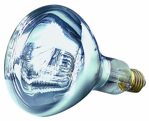Elevage - Matériel - Ampoule infrarouge HELIOS à vis blanche 150 W - E27
