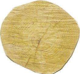 Elevage - Accessoires tubulaires - Piquet en robinier, rond, 2500 mm,  d=16-18 cm, appointé, chanfreiné