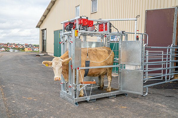 Elevage - Accessoires tubulaires - Cage de parage Pro électrique