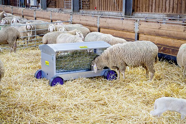 Elevage - Accessoires tubulaires - Ratelier mobile à roues, L=1,25 m  avec toit, pour agneaux et moutons
