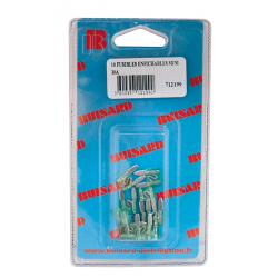 Eclairage, signalisation - Consommables 12/24V - Hf- 10 Fusibles Enfich.Mini 30A Vert
