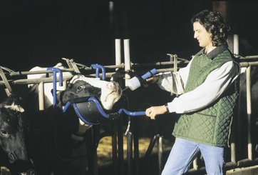 Elevage - Matériel - Lève-tête VINK