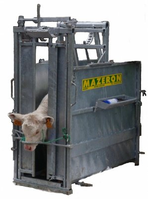 Matériel d'élevage - Cage, parc et couloir de contention - Cage à veau
