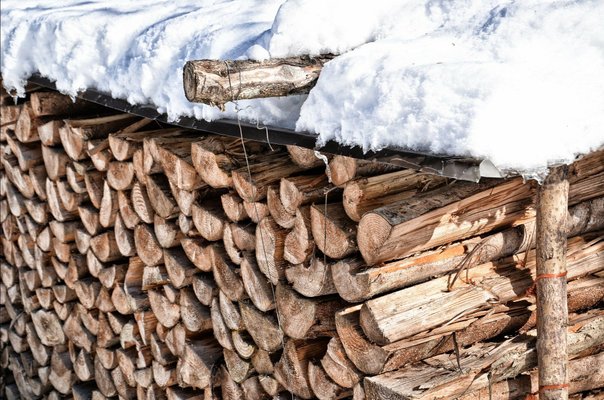  Couper son bois de chauffage pour l’hiver