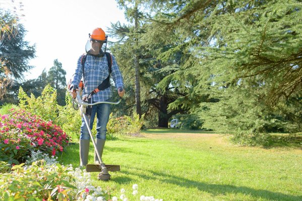 Préparez votre jardin pour le printemps en 3 temps