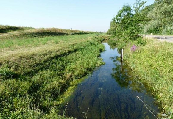 L'entretien du fossé